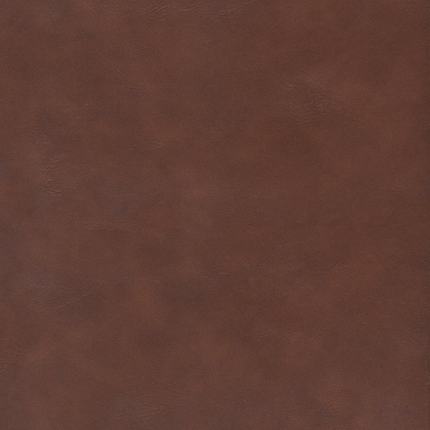 Norwich Dining Chair (Set of 2)