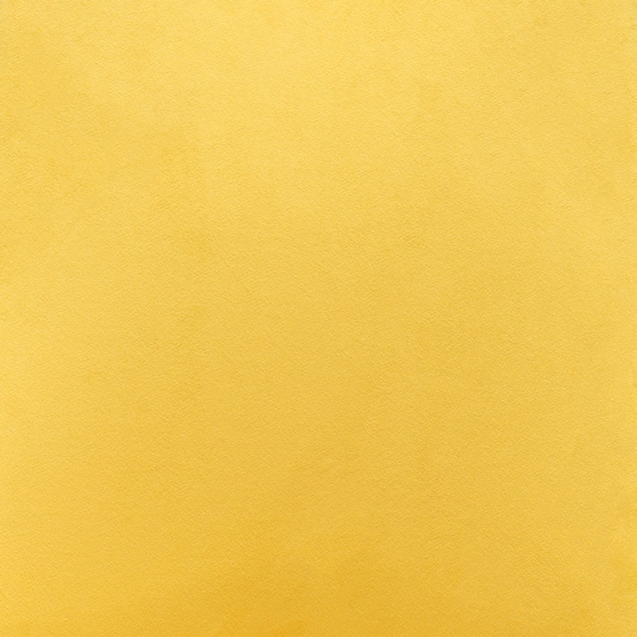 Piccolo Dining Chair (Set of 2)