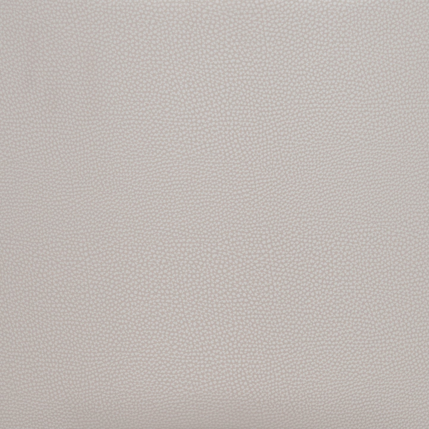 Desi Barstool (Set of 2)