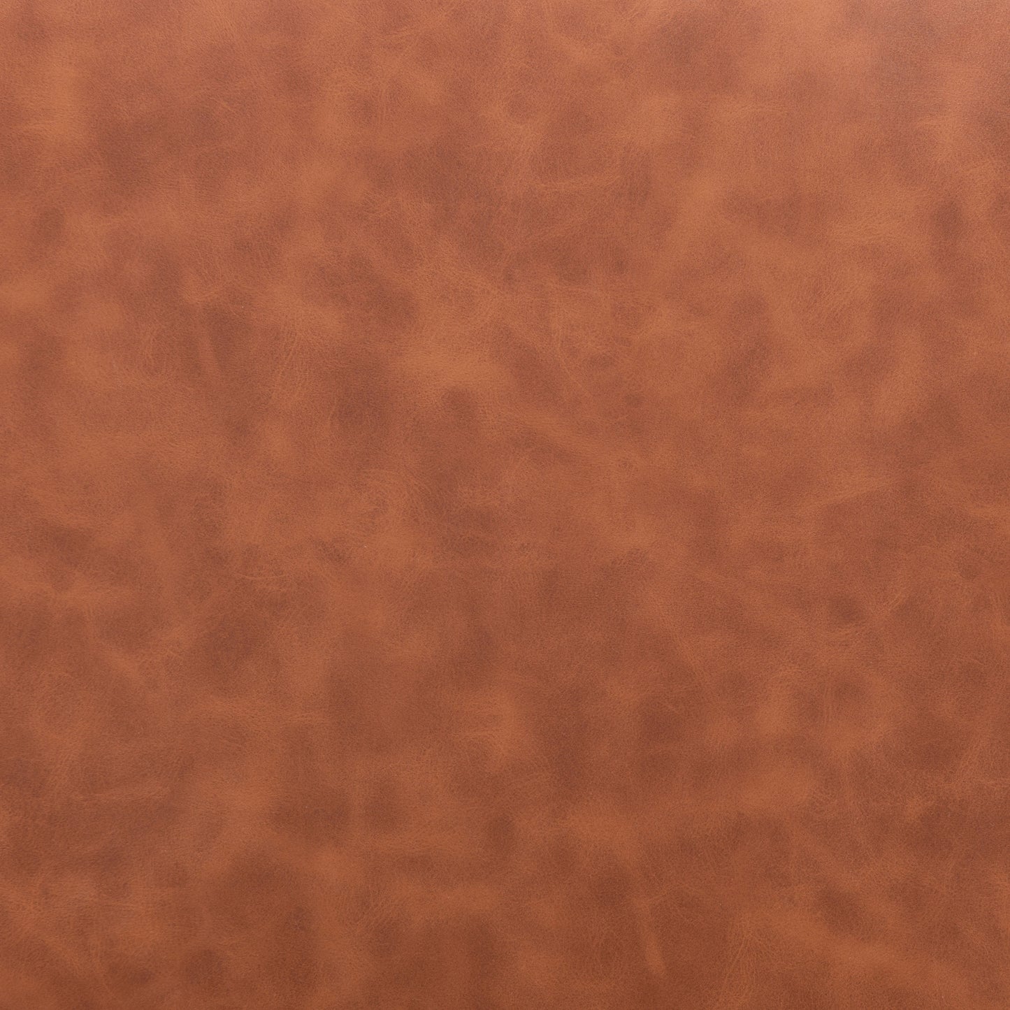 Daniel Dining Chair (Set of 2)