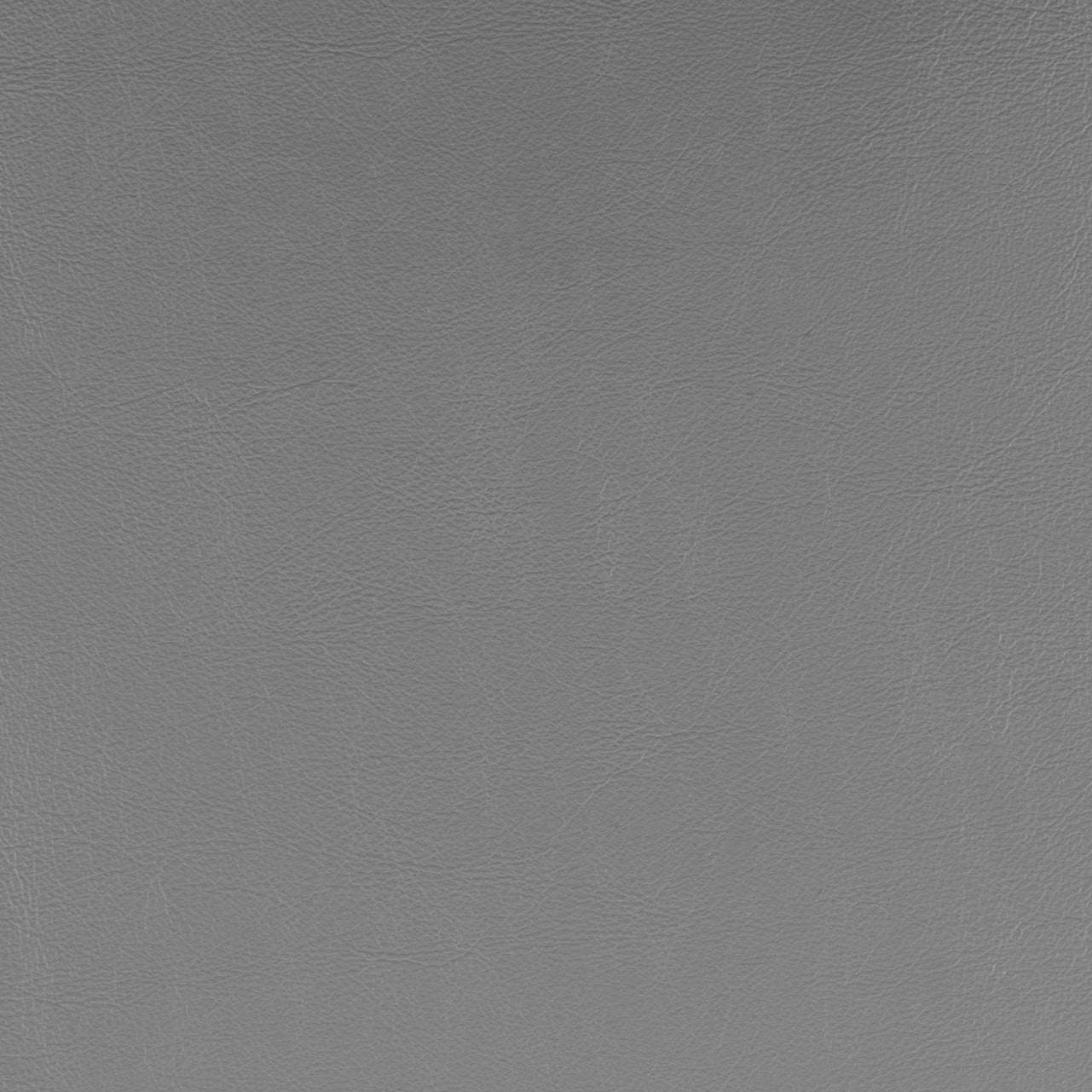 Delfin Dining Chair (Set of 2)