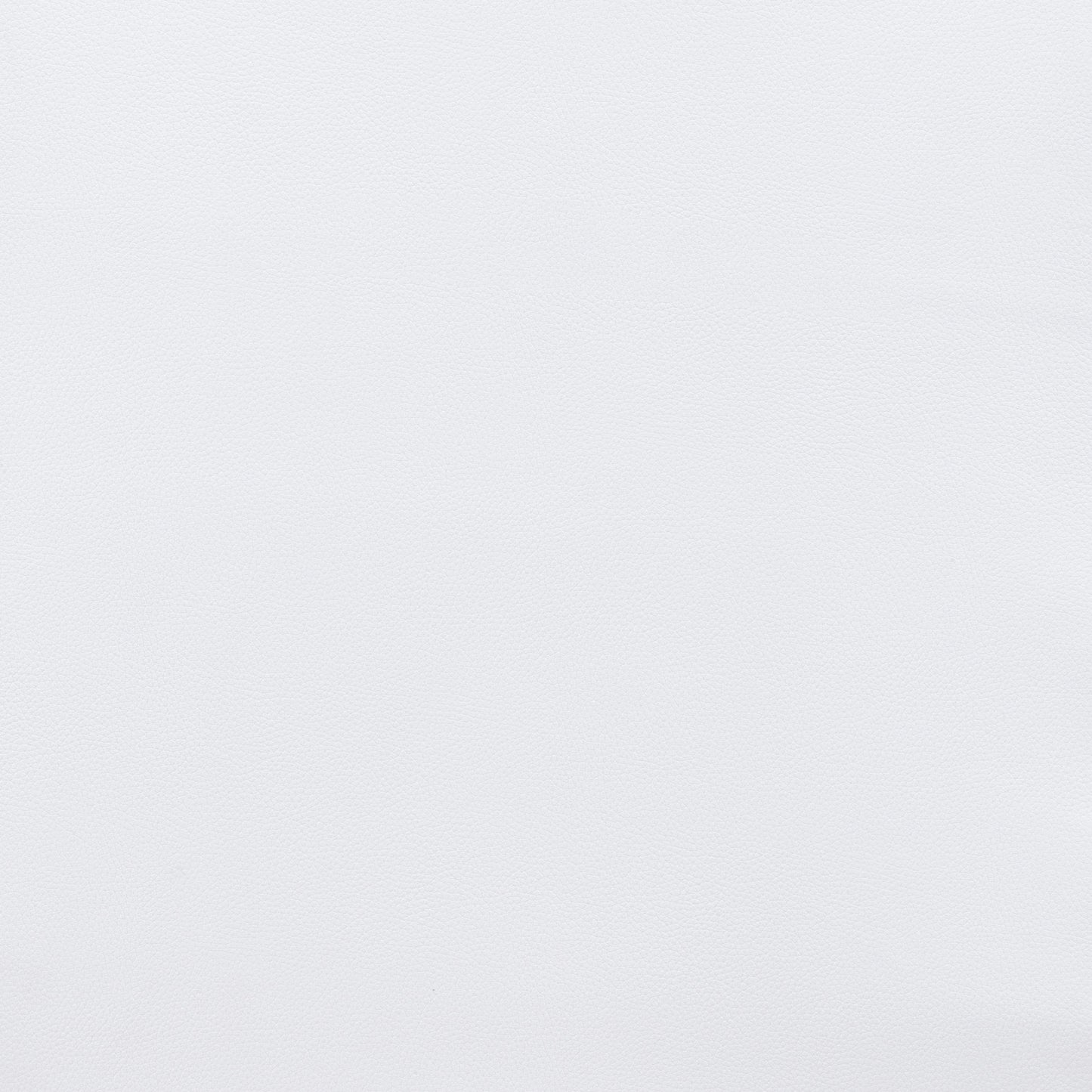 Desi Dining Chair (Set of 2)