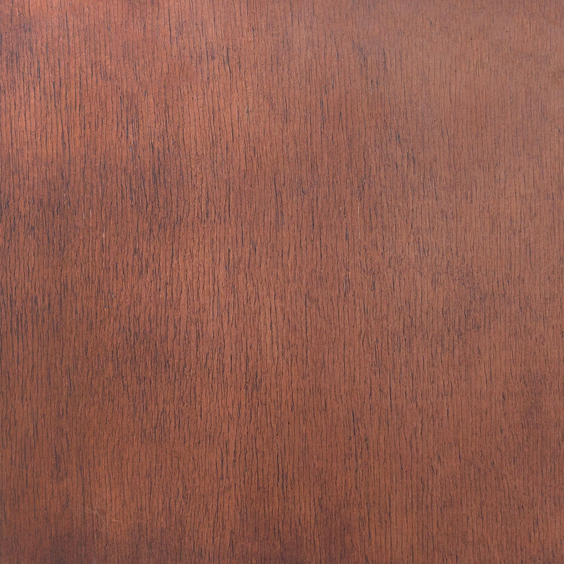 Iago Dining Chair (Set of 2)