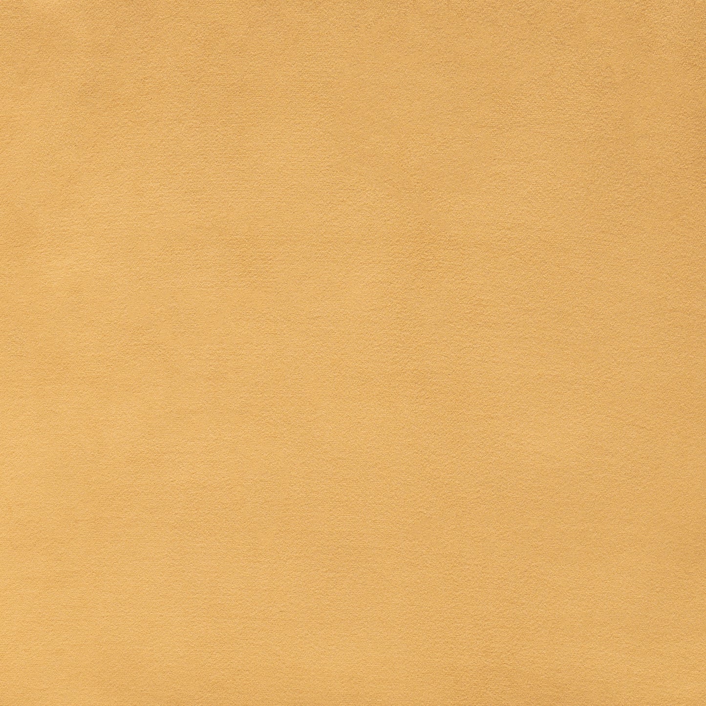 Tammy Dining Chair (Set of 2)