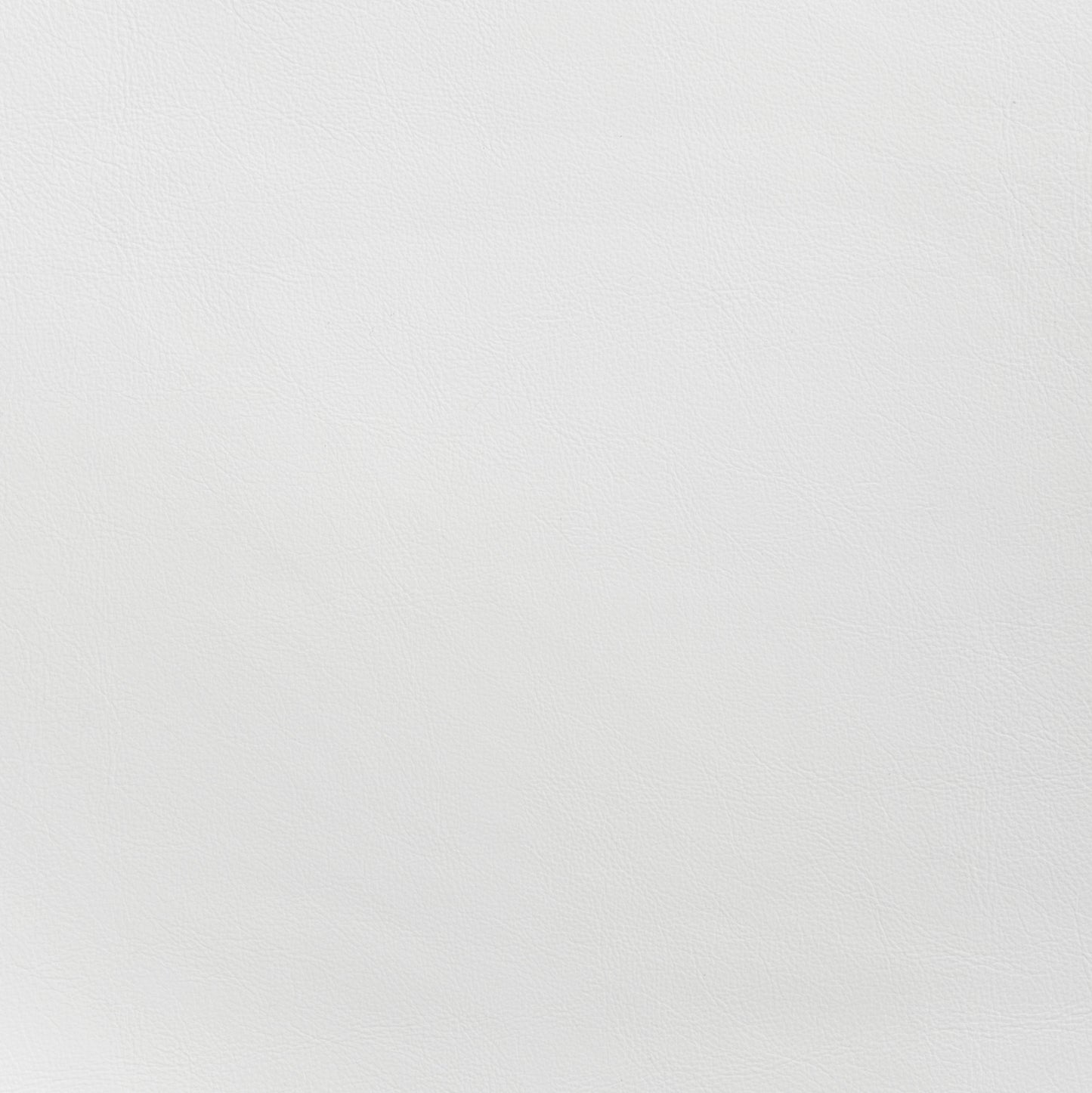 Desi Dining Chair (Set of 2)