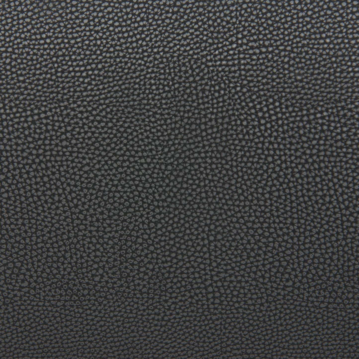 Desi Barstool (Set of 2)