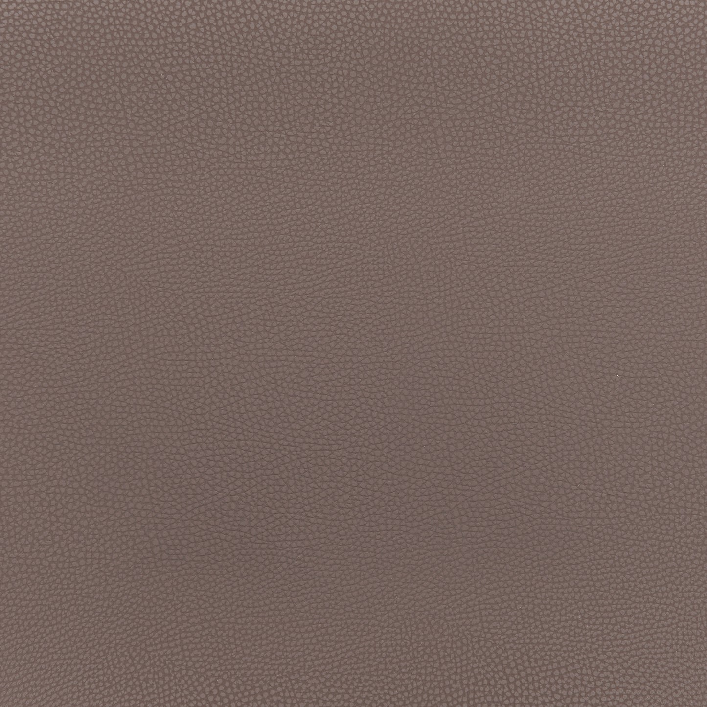 Desi Counter Stool (Set of 2)