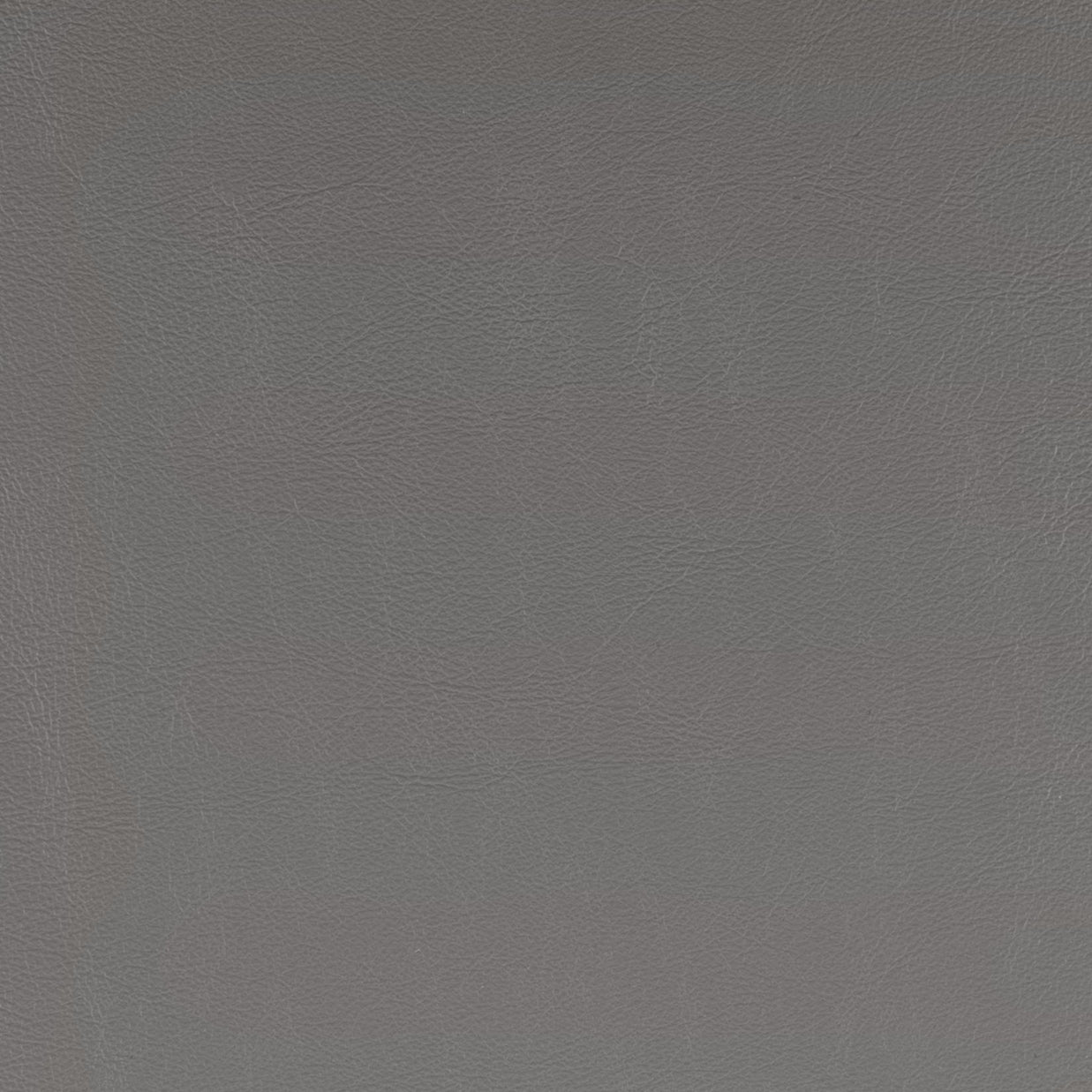 Lider Plus Armless Office Chair