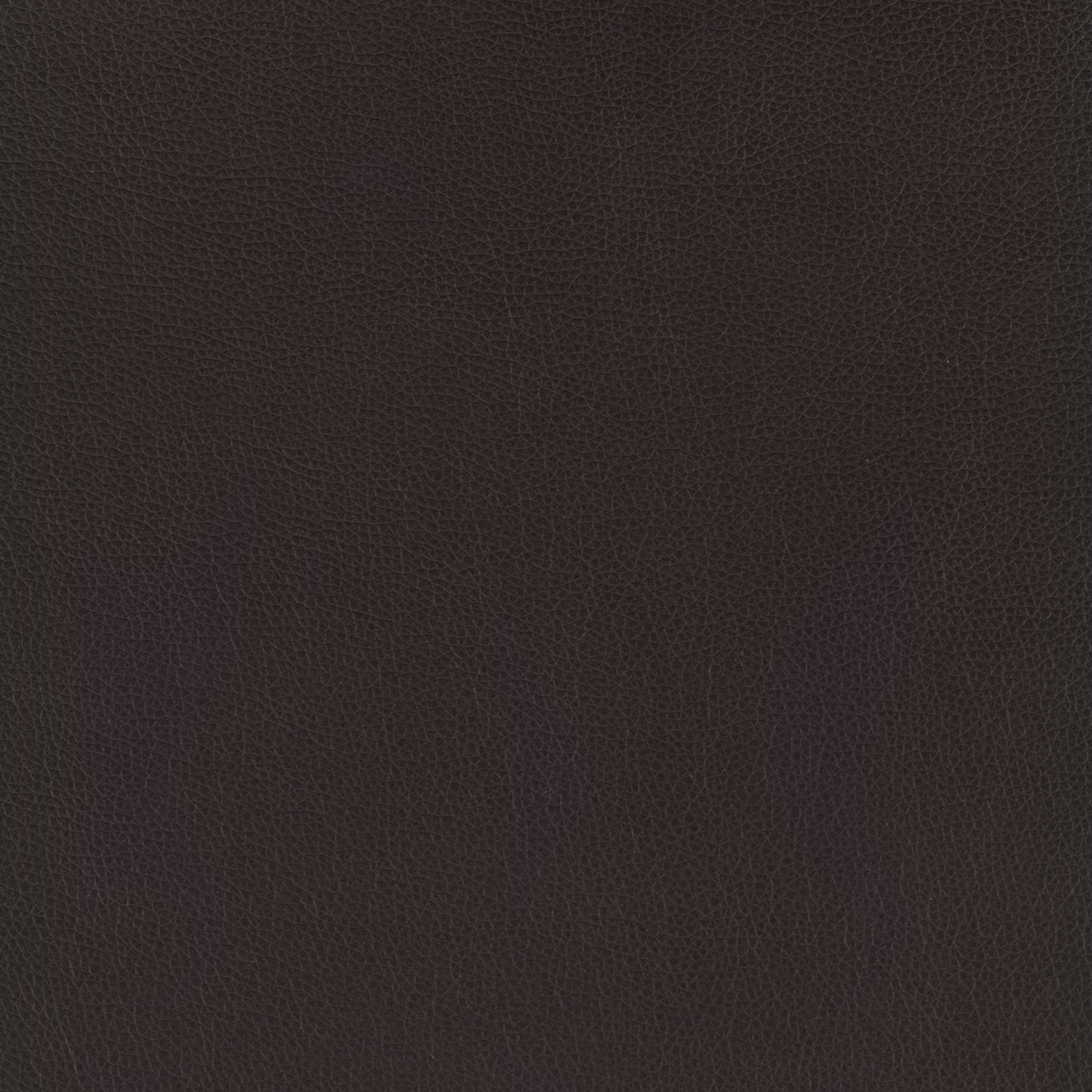 Criss Cross Counter Stool (Set of 2)