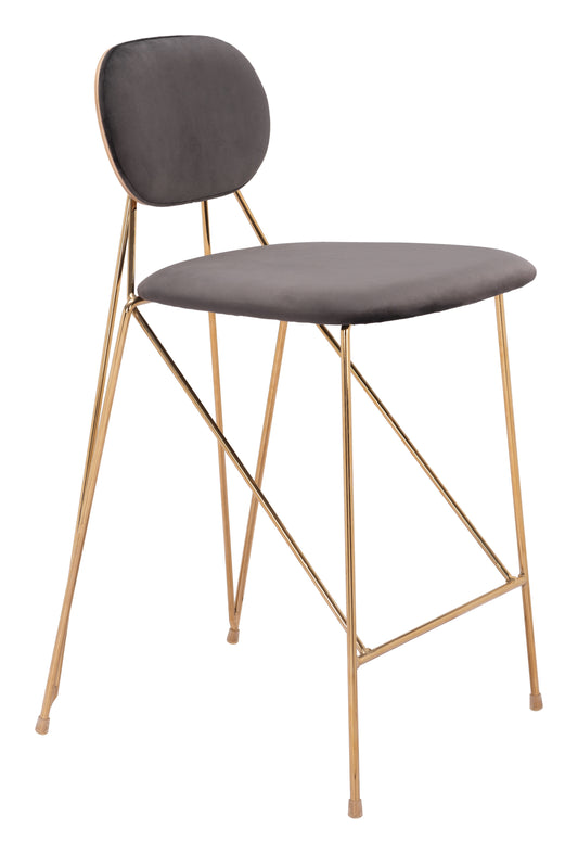 Georges Counter Stool (Set of 2) Gray & Gold