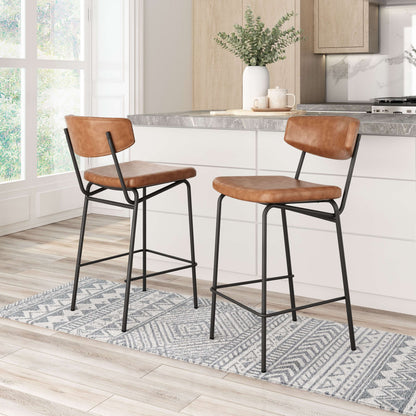 Charon Counter Stool (Set of 2)