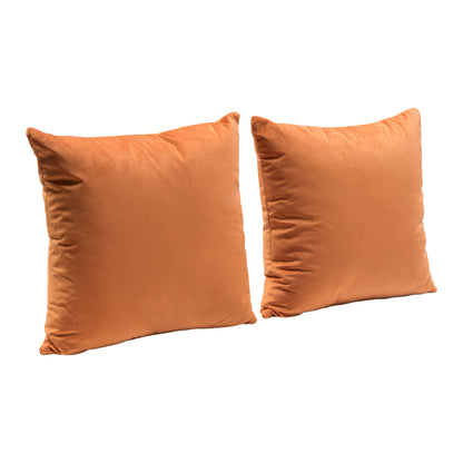 16" Square Accent Pillow - Set of 2